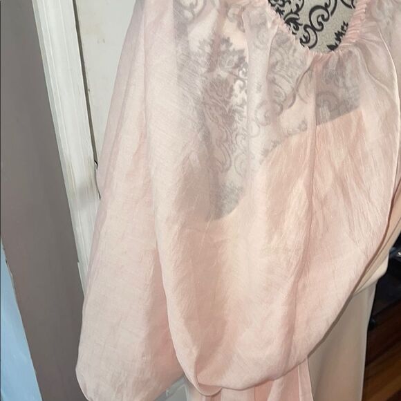 Asos NWT  Pink Chiffon Dress - Picture 3 of 8